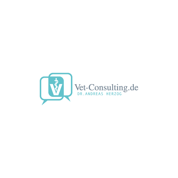 Logo Herzog Consulting Web